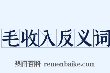 毛收入反义词是什么意思的图片